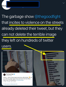 The Good Fight (CBS) - Plants Clear, Violent Message in Tweet, Deletes, Dismisses